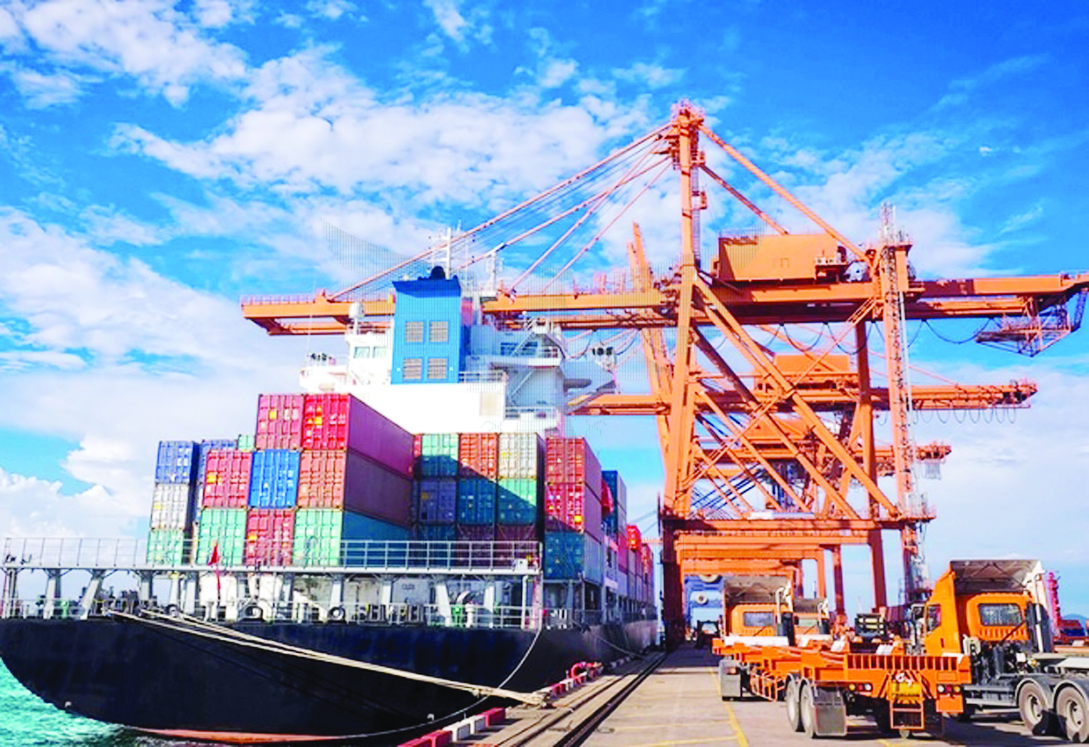 Exportadores egipcios de cítricos buscan nuevos contratos en China tras el arancel cero