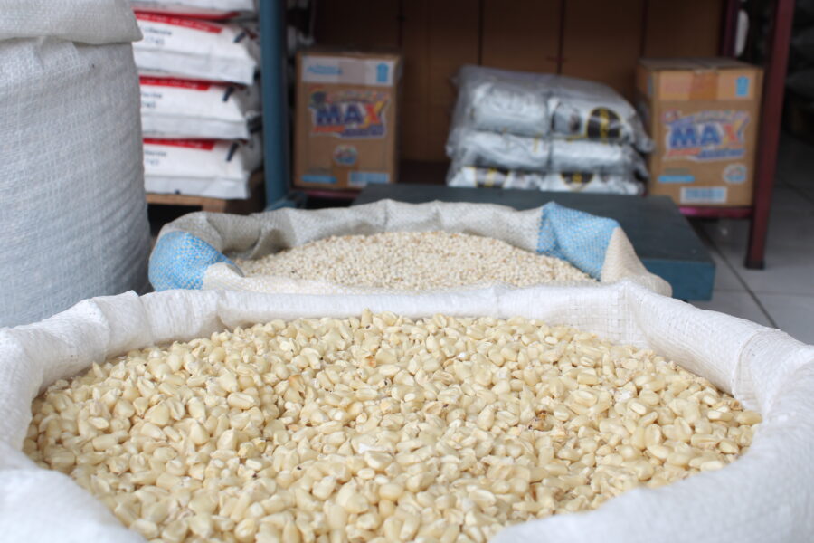 Les importations salvadoriennes de maïs blanc et jaune atteignent un volume record à juillet