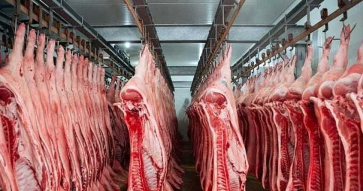 La UE reserva 31 términos cárnicos desde 2029 y obliga a renombrar productos vegetales