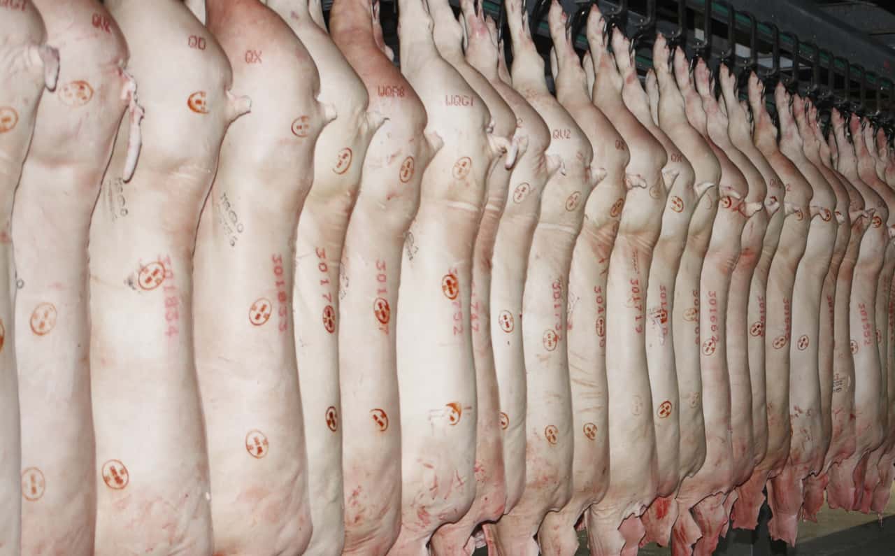 EU Pork Exports to Third Countries Fall 1.3% in First Half of 2026