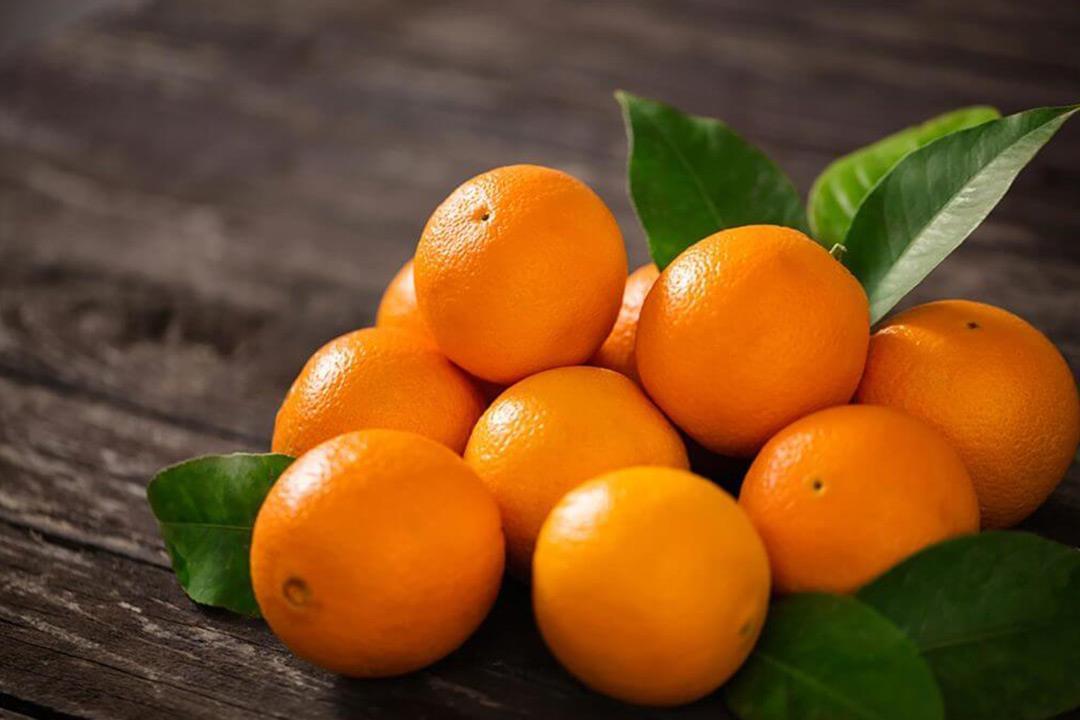 La demanda europea prolonga tres meses la campaña de exportación de naranja egipcia, hasta septiembre