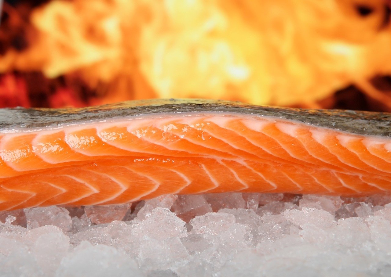 Russischer Fernost-Produzent stoppt Lachs-Exporte nach schwachem Fang