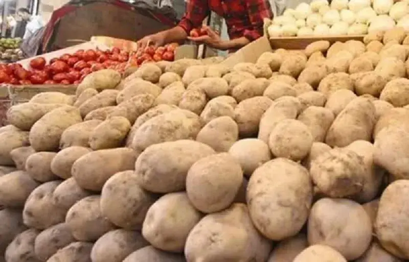 Fars stoppt Exporte von Kartoffeln, Zwiebeln und Freilandtomaten bis Jahresende