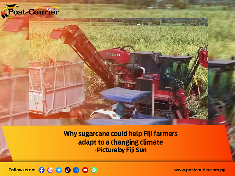 Fiji Research Institute Puts Sugarcane at Centre of Climate-Resilience Strategy