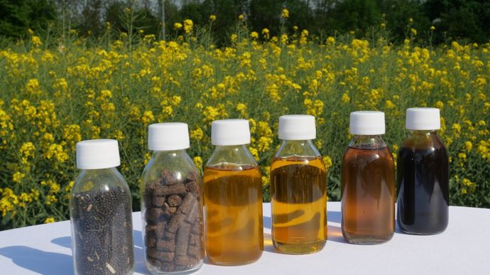 Lebensmittel- und Biodieselnachfrage stützt die Rapspreise