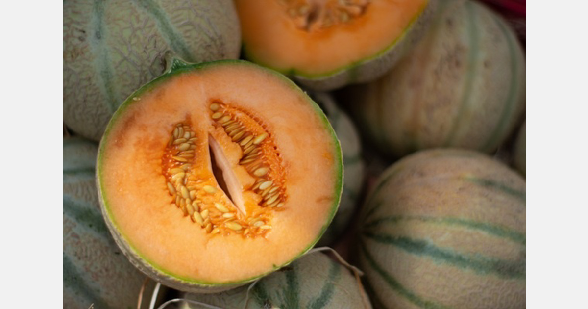 Frankreich senkt Melonenprognose nach Hitze und Dürre auf 321.400 Tonnen