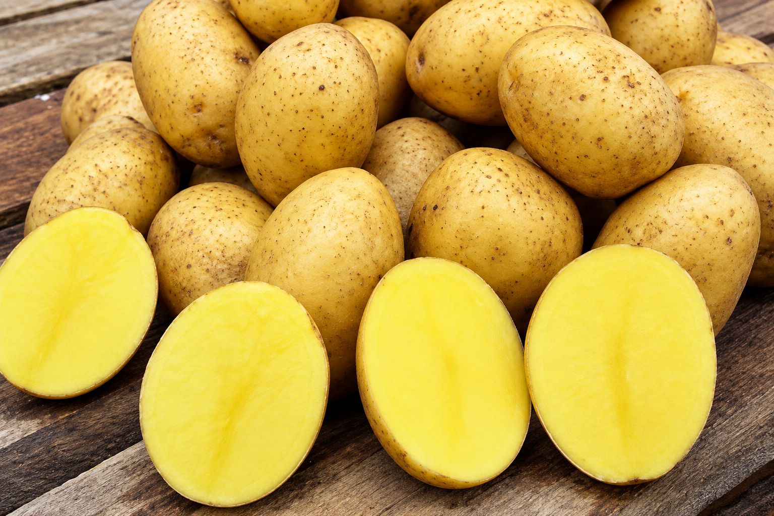Gala belegt 41,29 % der industriellen Kartoffelfläche Kasachstans