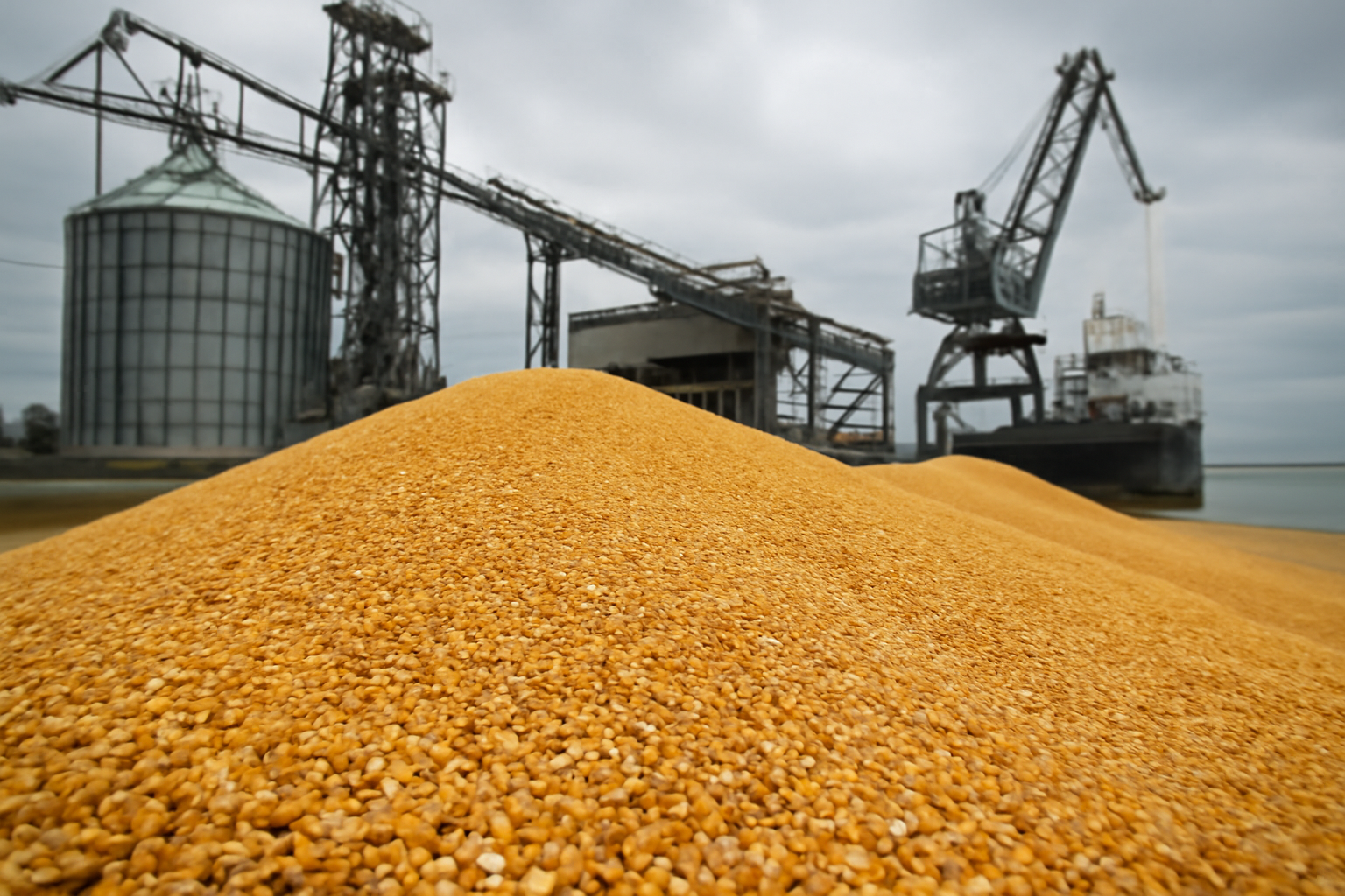 Oferta global de milho pode ficar mais apertada em 2026/27