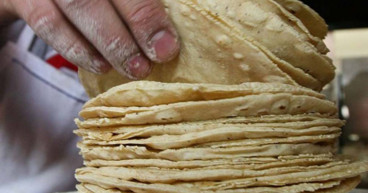 Guatemala öffnet Importquote für Weißmais nach deutlichem Preisanstieg