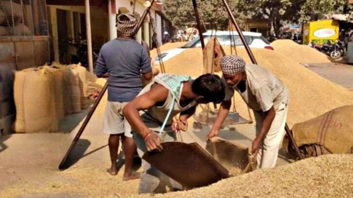 Haryana Farmer Unions Demand Paddy Procurement from 15 September as MSP Standoff Escalates