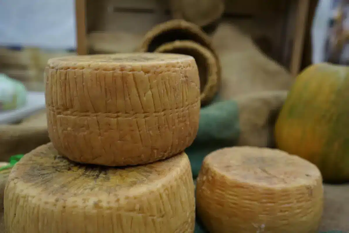 Chaleur et sécheresse poussent la majorité des producteurs de Salers à l’arrêt