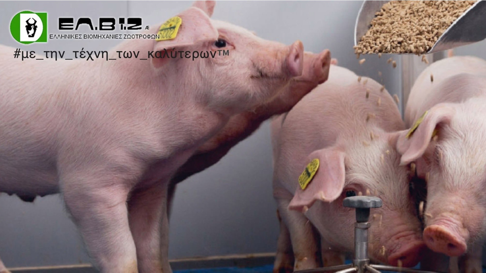 Le hongrois UBM acquiert 65 % du fabricant grec d’aliments pour animaux ELVIZ