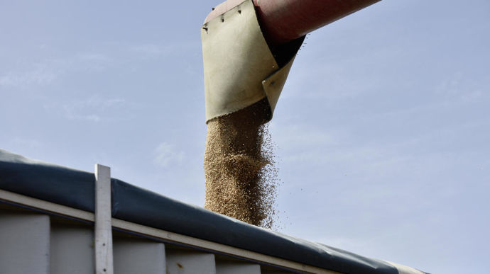 IGC hebt globale Getreideprognose an, Weizen und Gerste gleichen Maisverluste aus