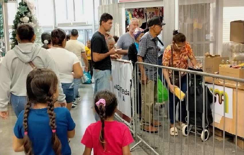 Panamá: IMA fecha acordo com a APUP para comprar 1.000 suínos diante da superprodução