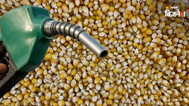 Indischer Brennerverband: Maisethanol verknappt die Futtermittelversorgung nicht