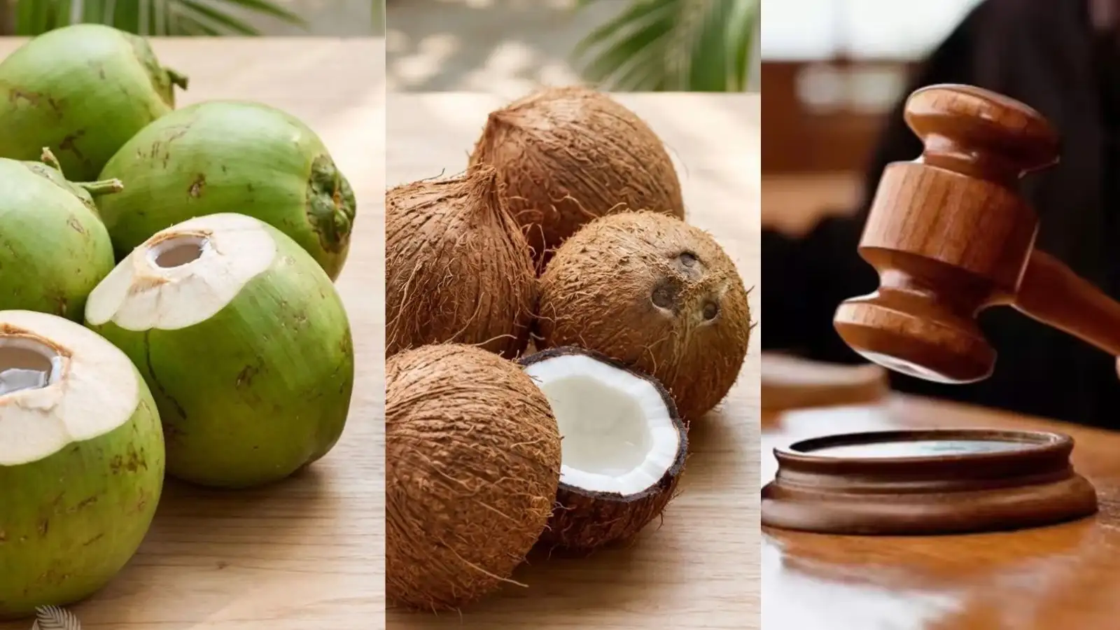 El Supremo de India excluye al coco marrón maduro de la exención para fruta fresca