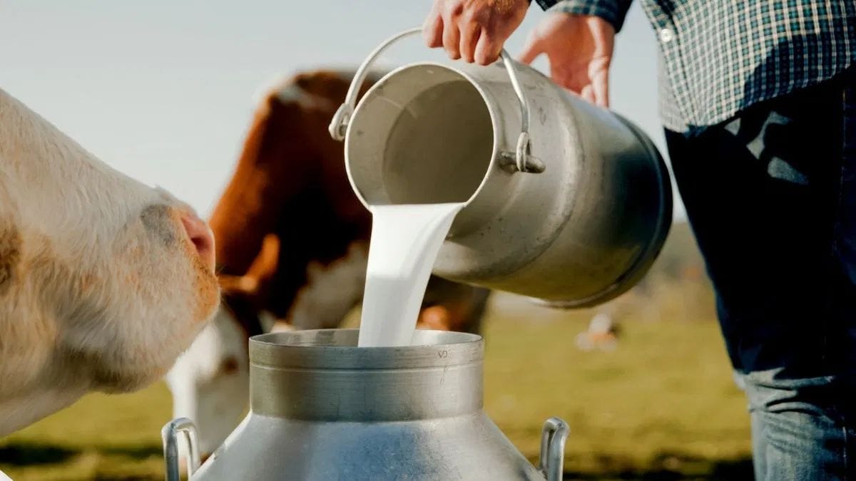 Indiens Milchmarkt setzt stärker auf Ernährung, Qualität und Mehrwertprodukte