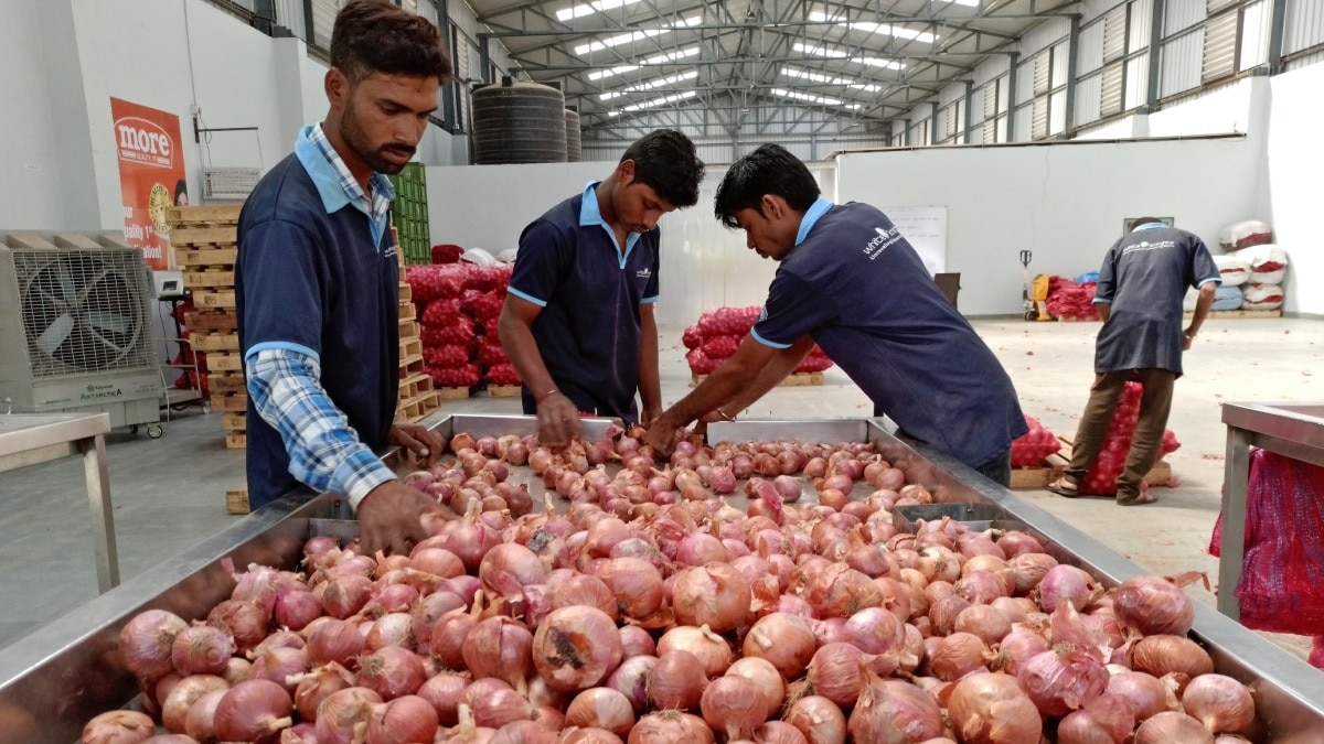 India vende 4.000 toneladas de cebolla subsidiada en 17 ciudades en diez días