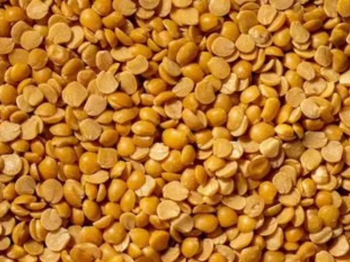 Indien erwägt Freigabe von Straucherbsenreserven vor der Festsaison
