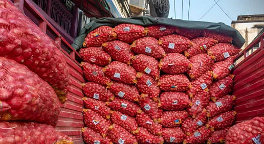 Le prix de gros de l’oignon indien bondit de 31% avec la baisse des stocks