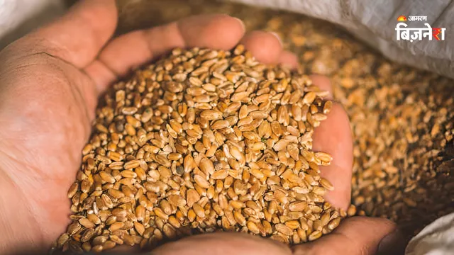 El trigo sube en India tras el levantamiento de la prohibición de exportar