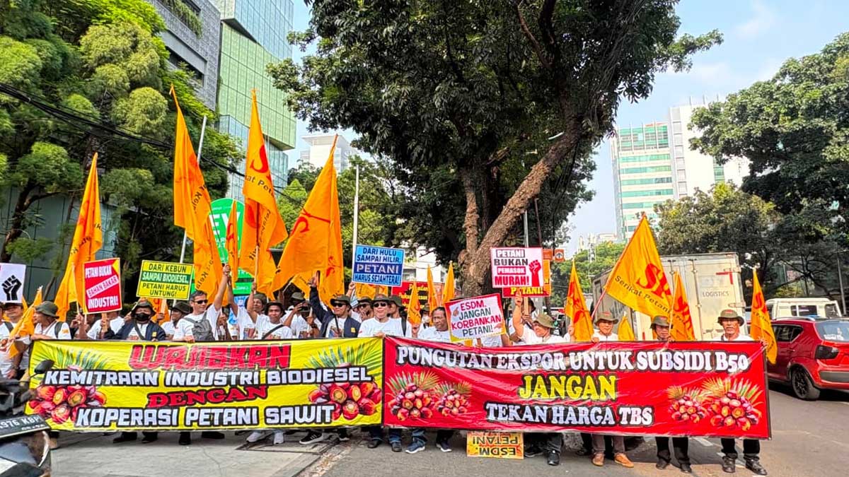 Indonesien: Bauern und Parlament fordern gesicherte CPO-Versorgung für B50