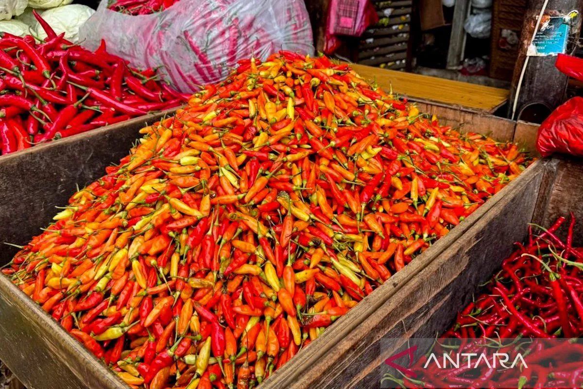 Pimenta malagueta chega a 82.700 rupias por quilograma na Indonésia