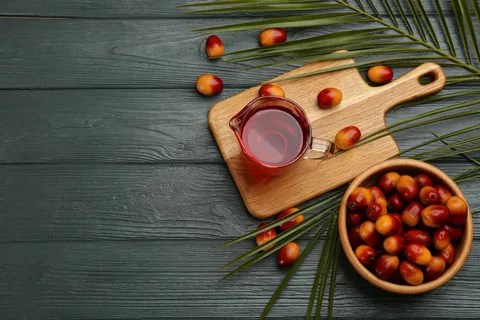 Indonesia y la UE preparan su acuerdo comercial, con el acceso del aceite de palma aún pendiente