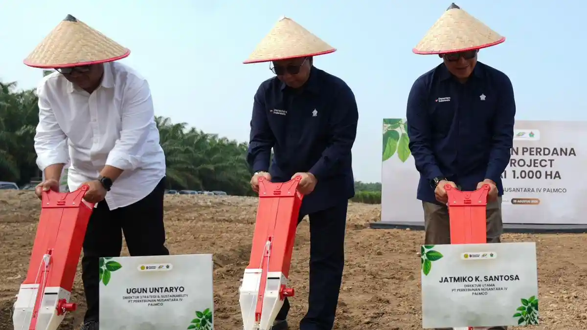 PTPN Starts 1,000-Hectare Soybean Pilot to Test Indonesia’s Import-Reduction Plan