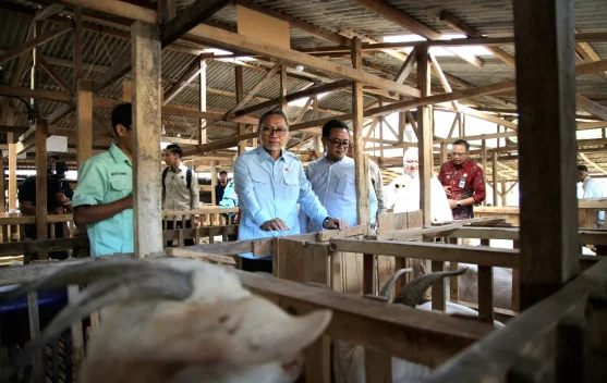 Indonesia Pushes Goat-Milk Processing to Expand Demand and Farmer Income