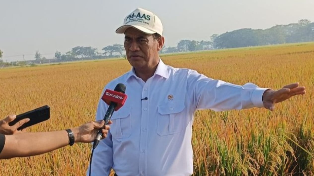 Indonesia afirma que el arroz esta asegurado hasta junio de 2027 pese al riesgo de sequia por El Nino extremo