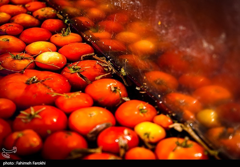Tomatenmark im Iran verteuert sich in 40 Tagen um 57 Prozent