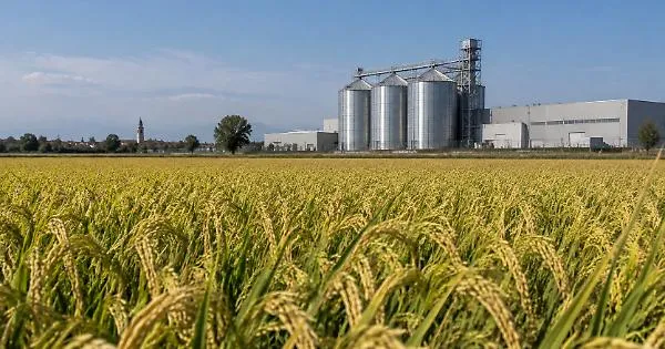 Ires ouvre à Vercelli une usine de semences de riz de 3 millions d’euros