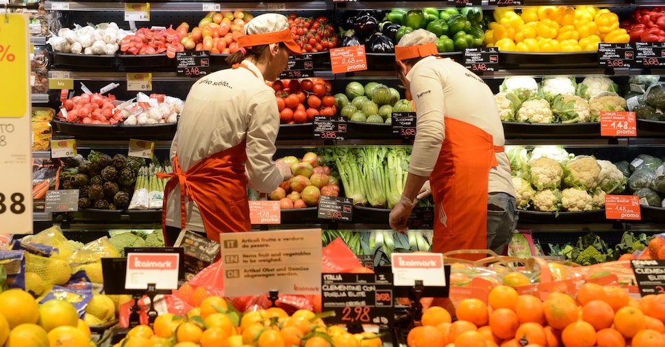 Italiens Kiwi-Exporte steigen um 26,4 % auf 700 Millionen Euro – Macfrut 2027 rückt Kiwi und Chile ins Zentrum