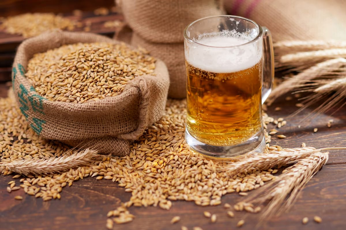 La sequía hunde un 39% la cosecha italiana de cebada cervecera y los rendimientos caen a 37 quintales por hectárea