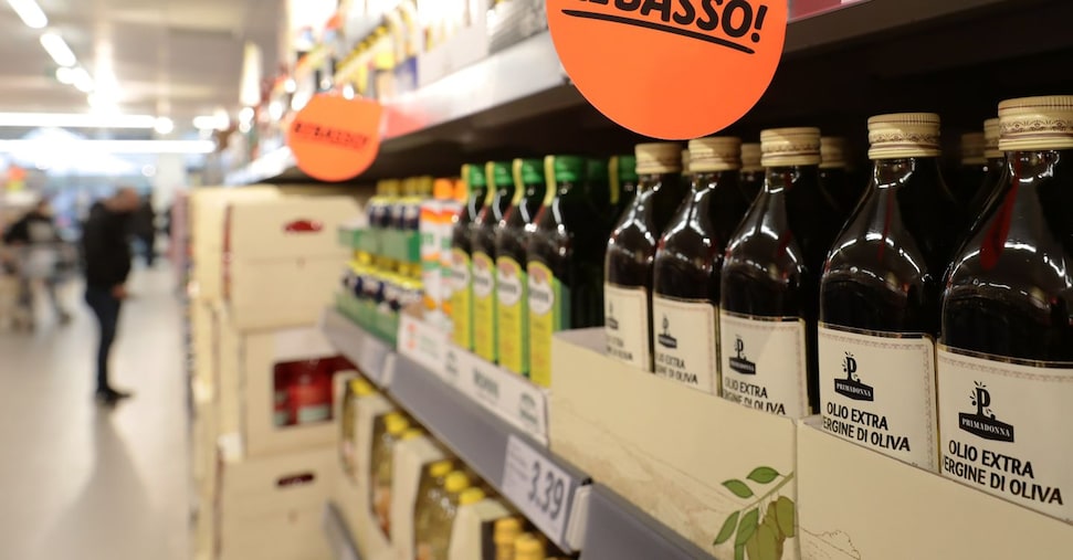 Italiens Olivenölproduktion steigt um 31 % auf 325.000 Tonnen, ISMEA erwartet 2026 nachgebende Preise