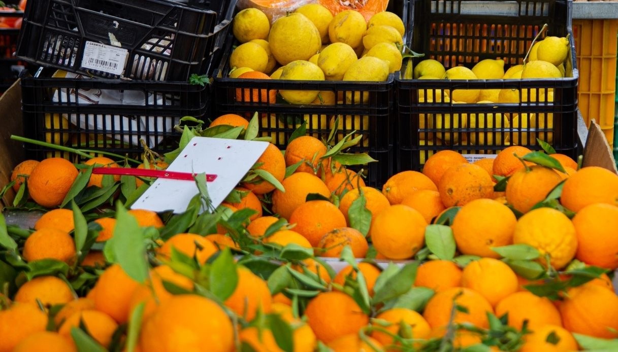 Italiens Orangensektor schrumpft bei sinkendem Konsum und wachsendem Importdruck