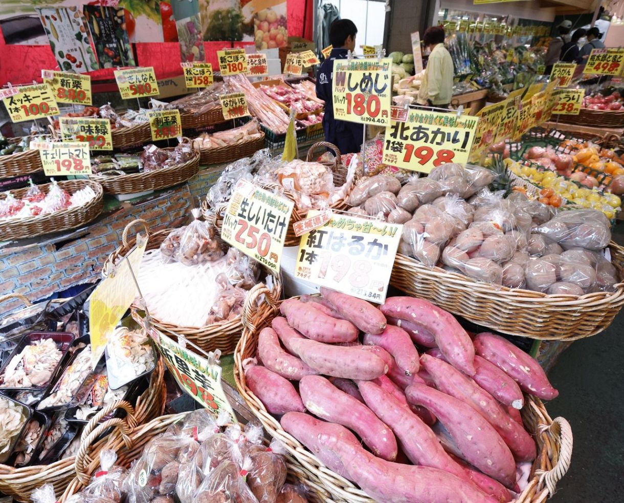 Greenpeace Japão: aquecimento reduz batata-doce, antecipa a pera e afeta o arroz