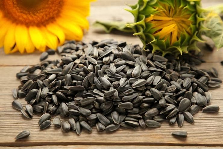 Kazajistán agota el 95,9 % de su potencial exportador de semilla de girasol