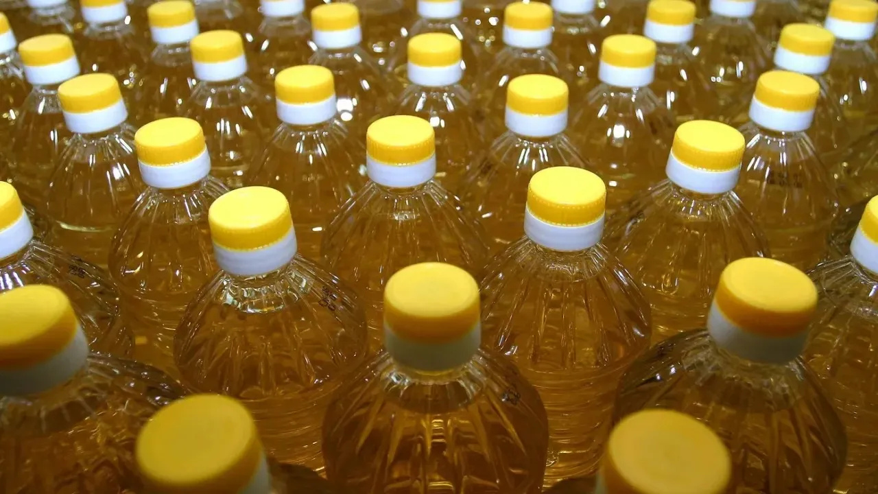 Kasachstan steigert Pflanzenölproduktion um 29,1 Prozent und baut Exporte aus