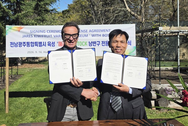 El kiwi dorado coreano Haegeum avanza hacia su producción comercial en el hemisferio sur