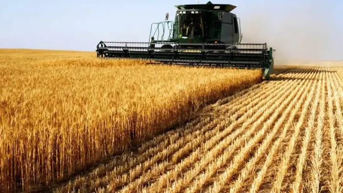 Quirguistão amplia área de grãos em 1,8%, para 617.700 hectares em 2026