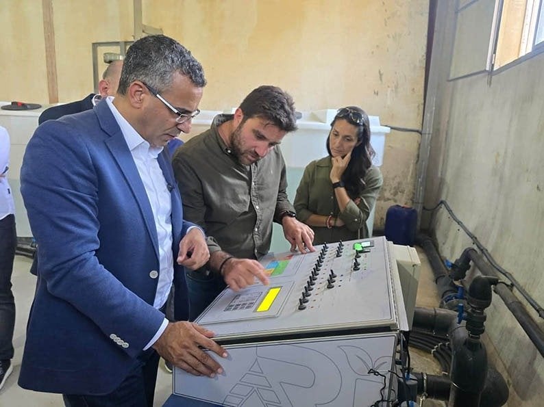 Exportadores libaneses de uva buscan conservar el acceso a más de 40 mercados