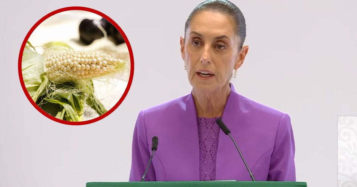 Mexico expands corn support with pricing accord and seed program