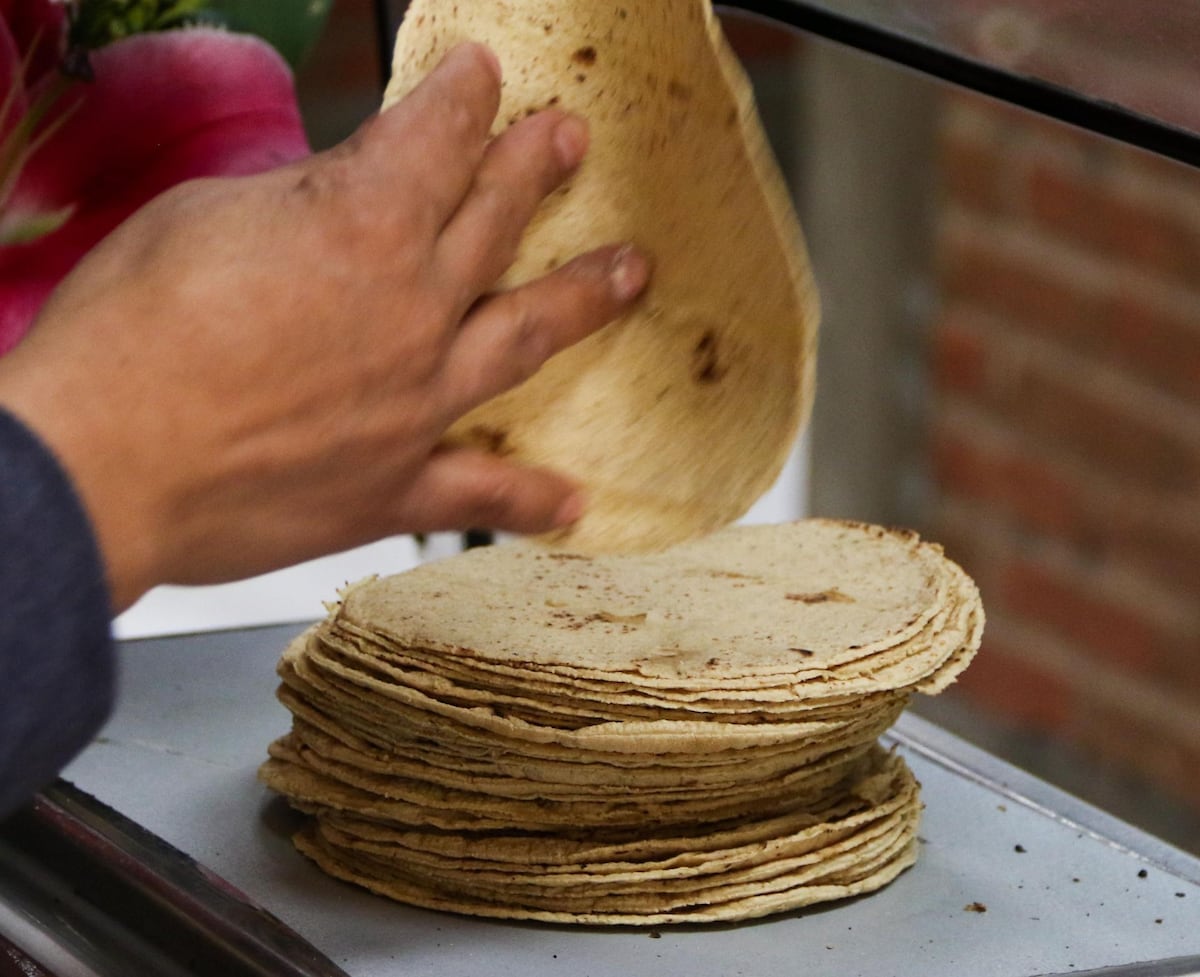 Mexiko sieht trotz 6 Prozent höherer Weißmaispreise keinen Grund für teurere Tortillas