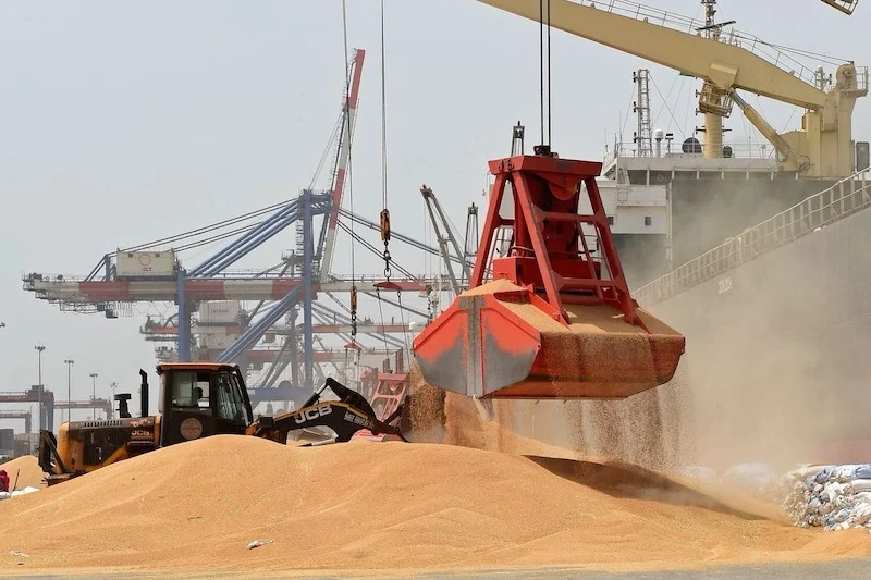 Marokko nimmt Weichweizenkäufe in Europa wieder auf – rund 310 Euro je Tonne frei Hafen