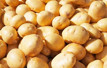 Les Pays-Bas dominent les exportations de pommes de terre fraîches avec 1,3 milliard de dollars