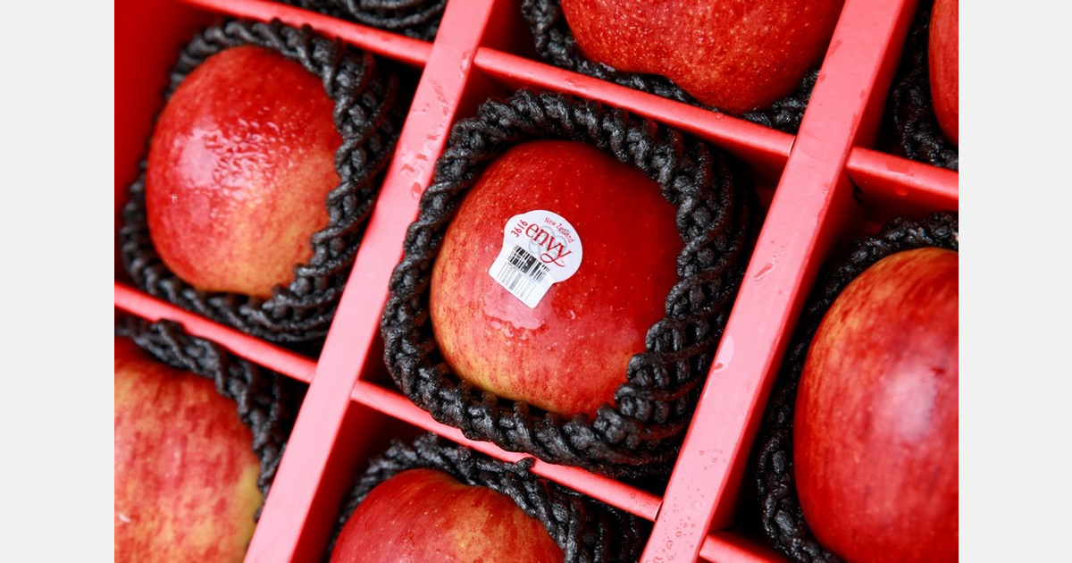 Neuseeländische Äpfel nutzen saisonale Angebotslücke in China