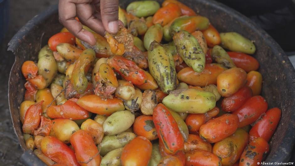 Nigerias Ernährungskrise verschärft sich bei schwächerer Ernteprognose