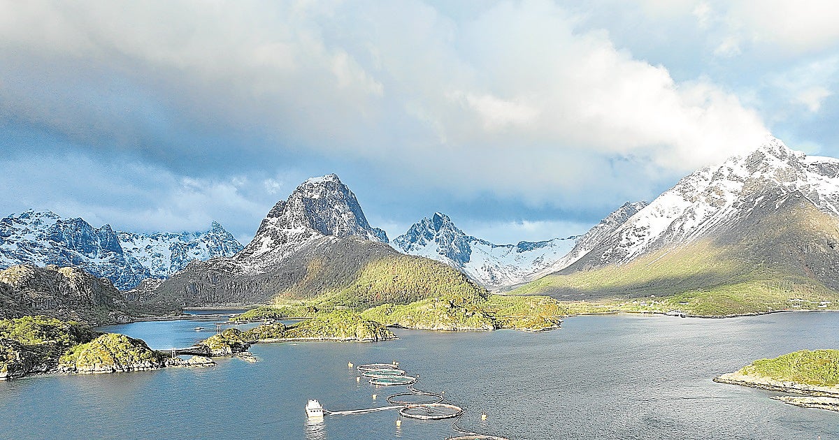 El modelo acuícola tecnológico de Noruega refuerza su producción de salmón